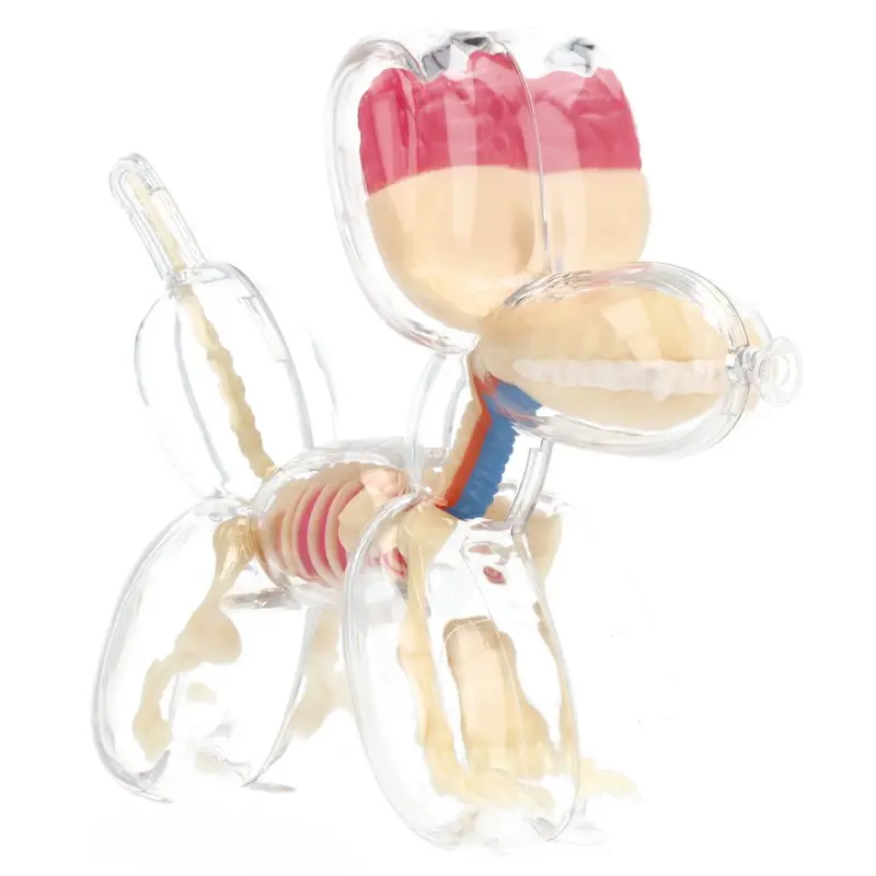 4.5" Balloon Dog Anatomy - Jason Freeny