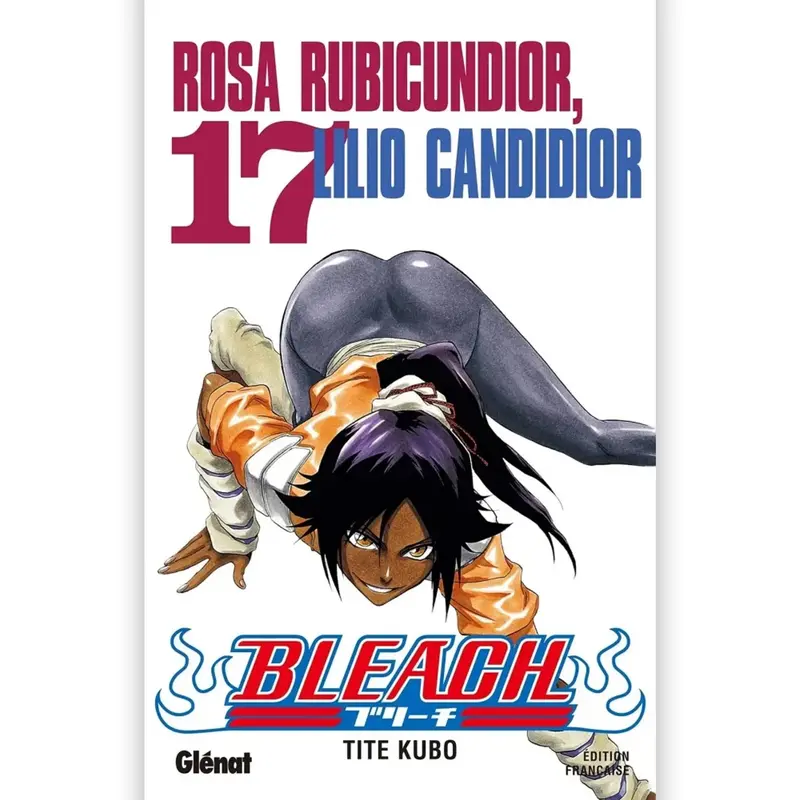 Bleach - Tome 17