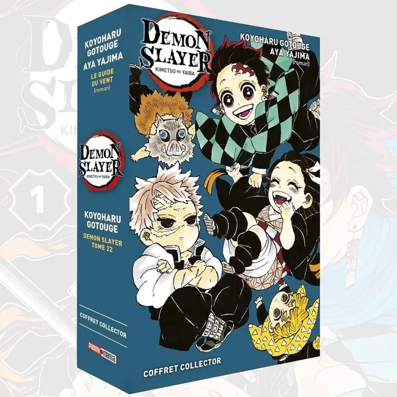 Demon Slayer - Kimetsu No Yaiba - Coffret Collector Tome 22 + Roman n°3