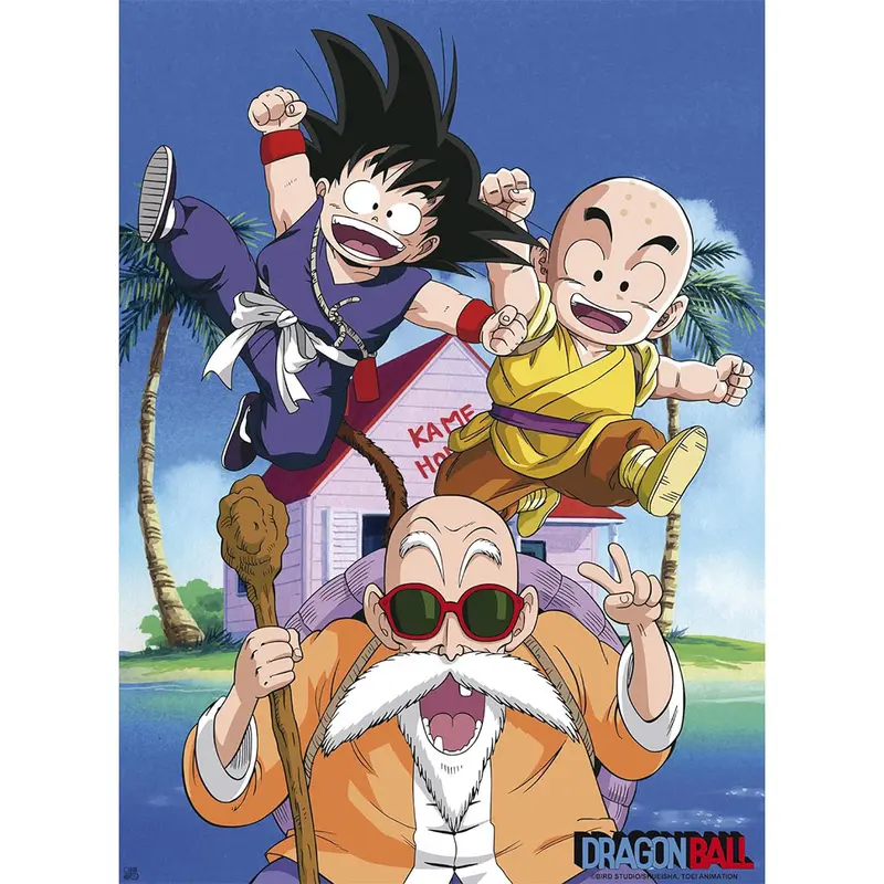 Dragon Ball - Poster - Kame Team