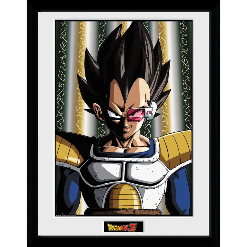 Dragon Ball Z - Tableau - Vegeta