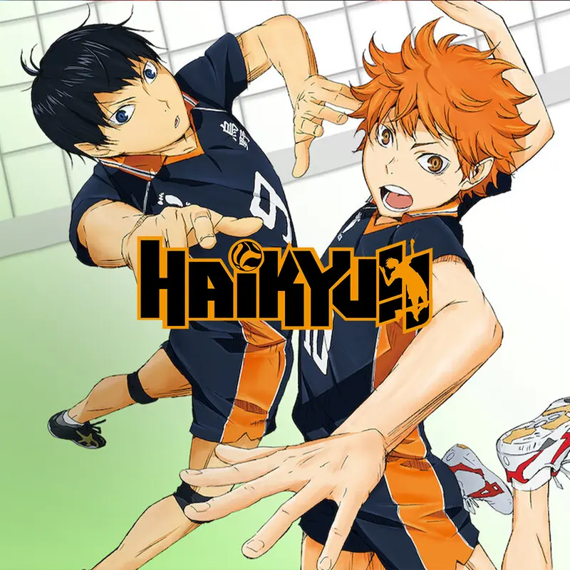 Haikyu !! - Les As Du Volley - Intégrale - Tome 1 à 13 - Smash Édition