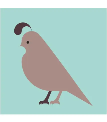 Komboh - Quail Giclee Print
