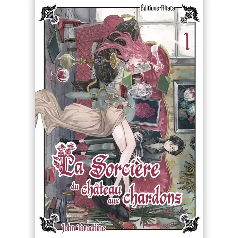 La Sorcière du Château aux Chardons - Tome 01