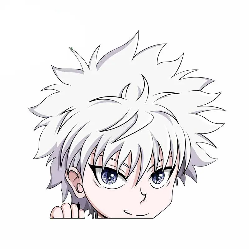 Sticker Hunter x Hunter <br /> Visage