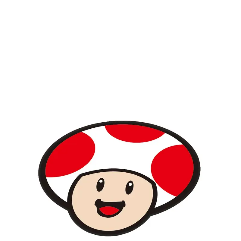 Super Mario Matta Toad