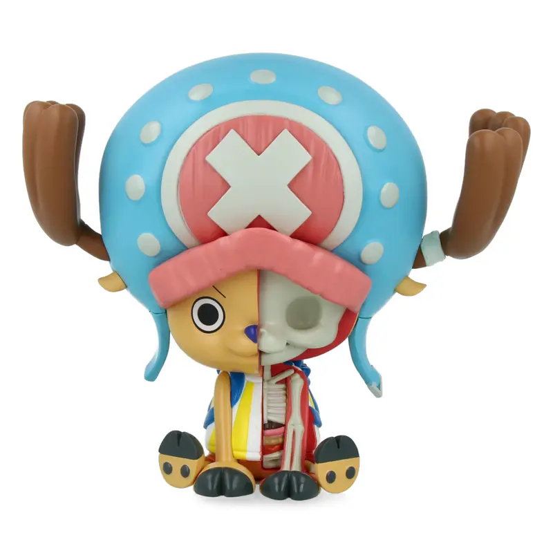 XXRAY Plus Chopper